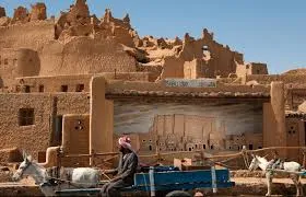 Oaza Siwa 